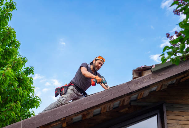 Best Roof Ventilation Installation  in Lake Arbor, MD
